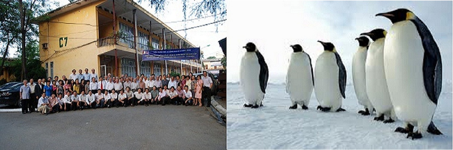 Quang cao giua trang